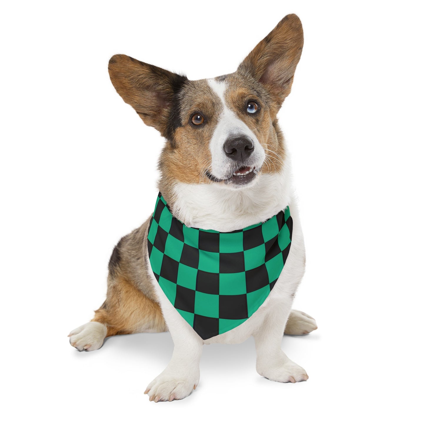 Green Checker Flag Dog Bandana Collar