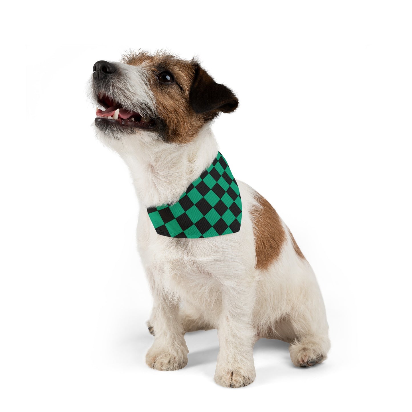Green Checker Flag Dog Bandana Collar