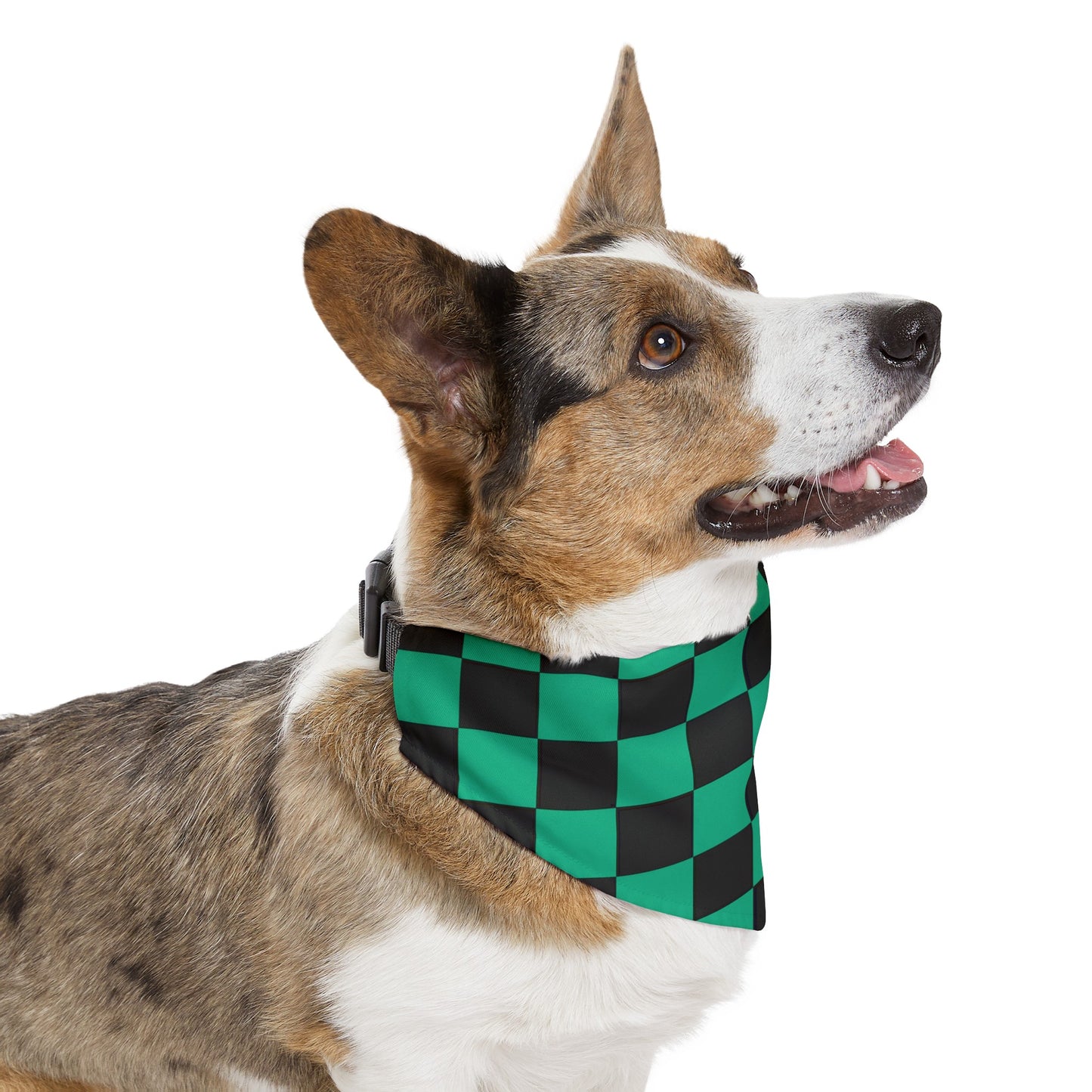 Green Checker Flag Dog Bandana Collar