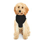 90's Nostalgic Mazda RX7-FC Dog Hoodie MODEL FRONT JDM