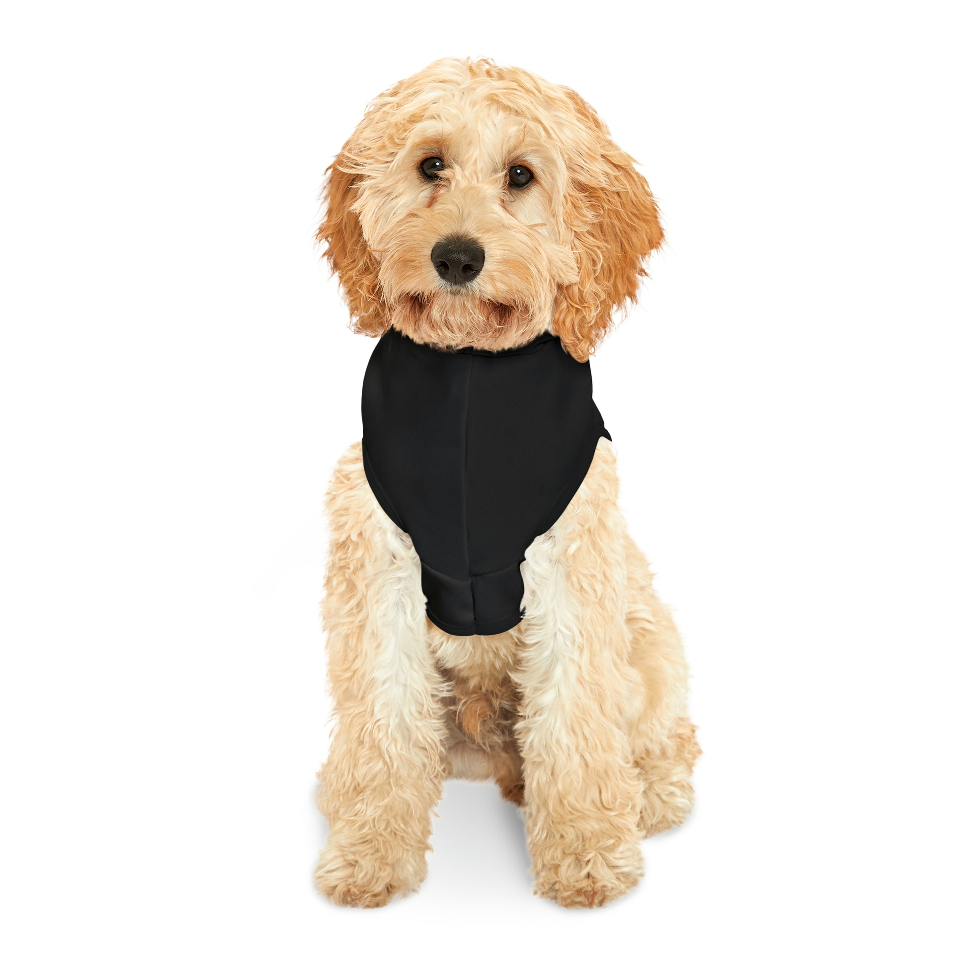 90's Nostalgic Mazda RX7-FC Dog Hoodie MODEL FRONT JDM