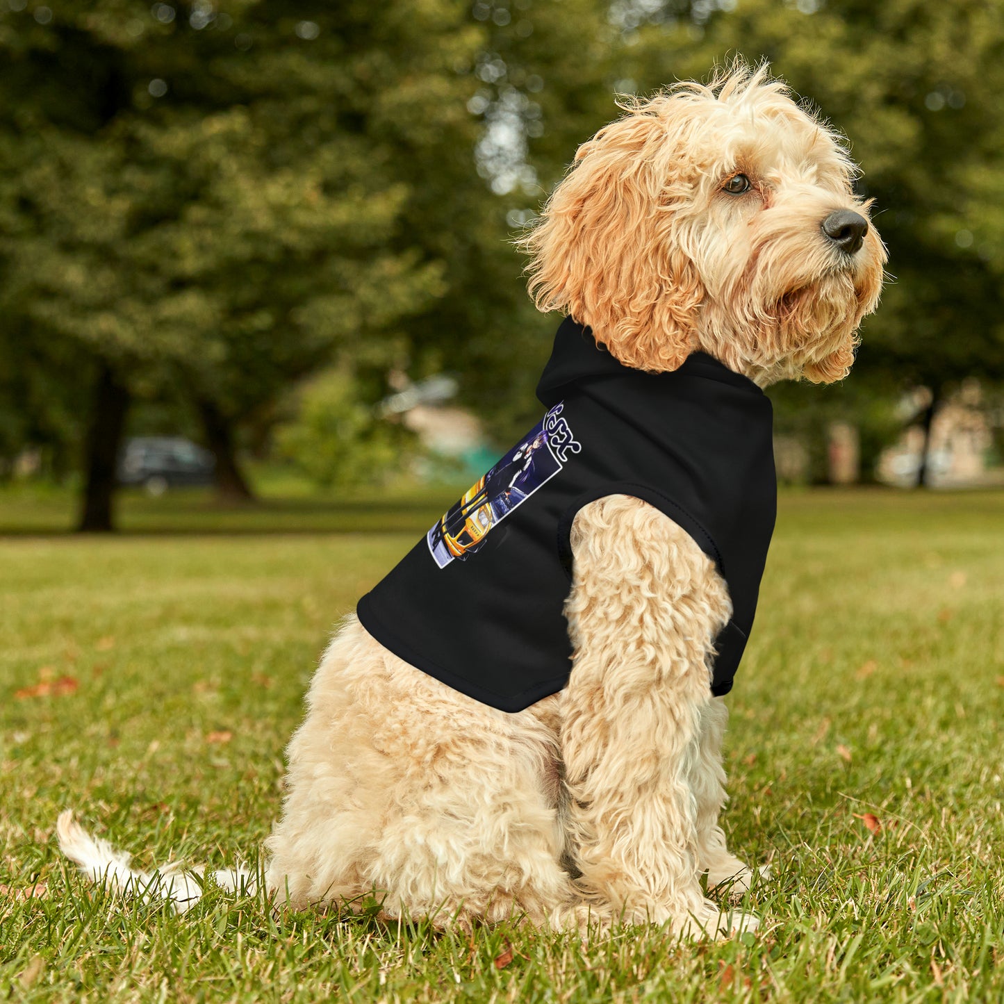 Honda NSX Dog Hoodie (Waifu Edition) PARK JDM