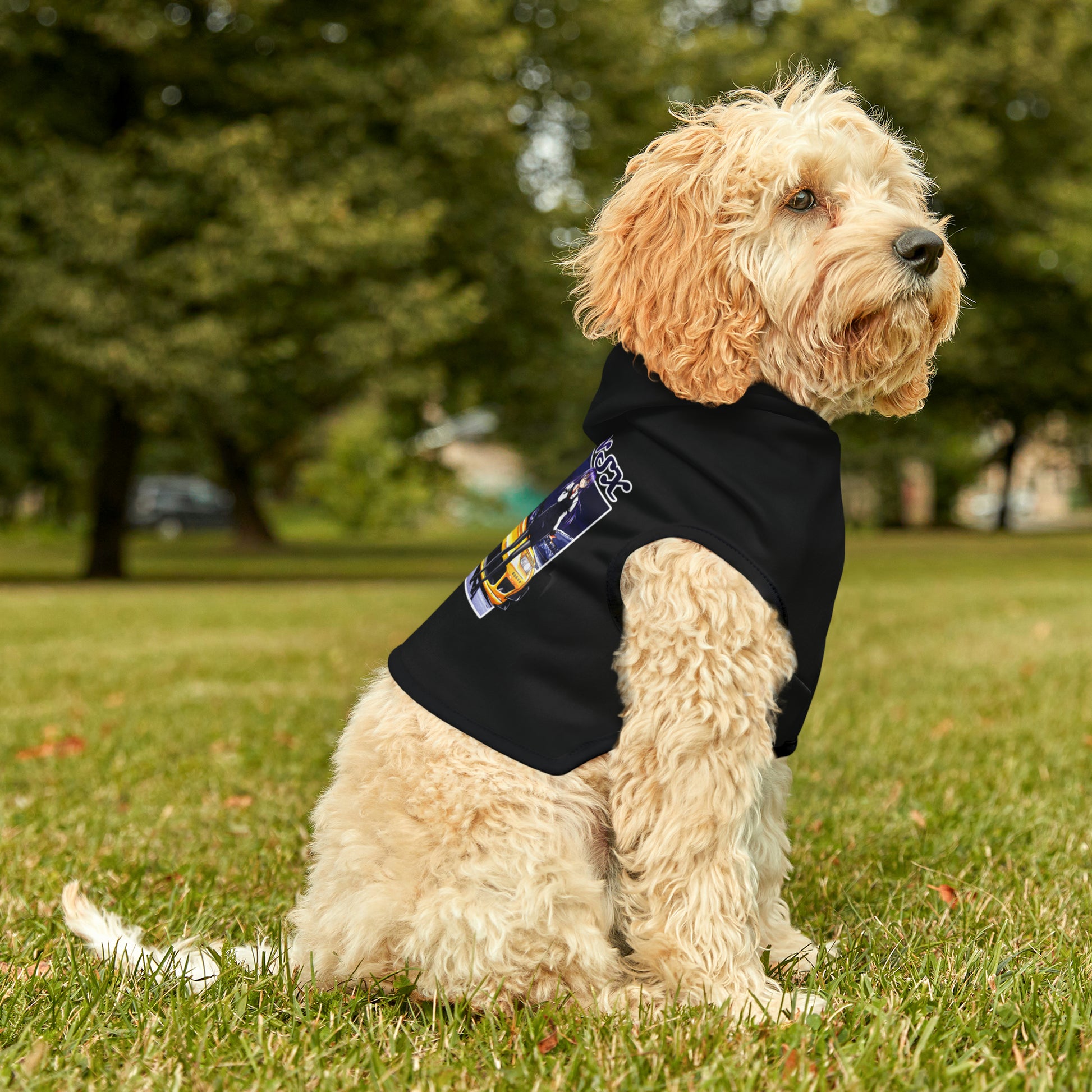 Honda NSX Dog Hoodie (Waifu Edition) PARK JDM