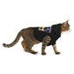 Honda NSX Dog Hoodie (Waifu Edition) SIDE CAT JDM