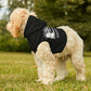 Toyota Sprinter AE86 Trueno Dog Hoodie (EUROBEAT INTENSIFIES) DOG PARK JDM 2 