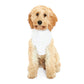 R34 Nissan Skyline Dog Hoodie (Waifu Edition) MODEL JDM
