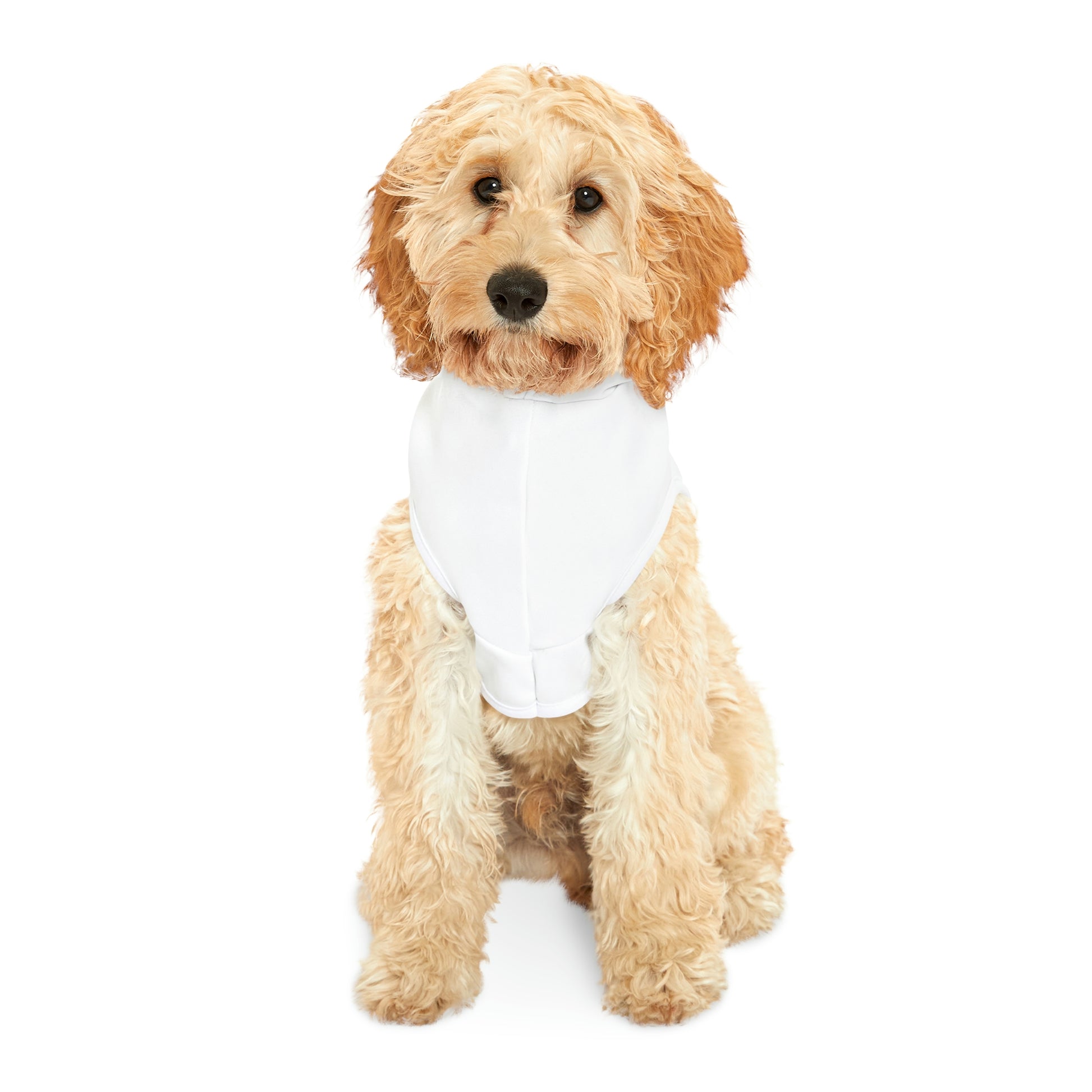 R34 Nissan Skyline Dog Hoodie (Waifu Edition) MODEL JDM